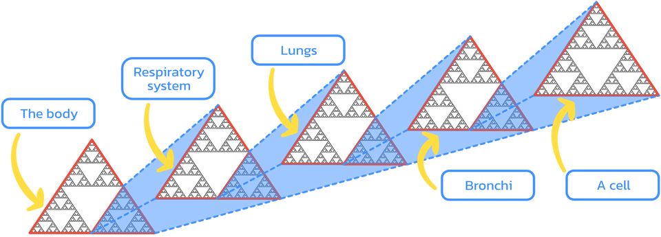 Five nested sierpinski triangles, representing 5 Markov blankets