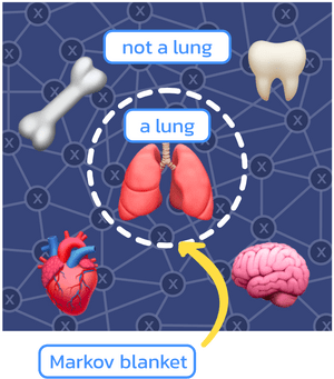 A lung is in the center, and a markov blanket separates it from the heart, brain, etc.